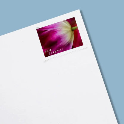2023 US Tulip Blossoms First-Class Forever Stamps