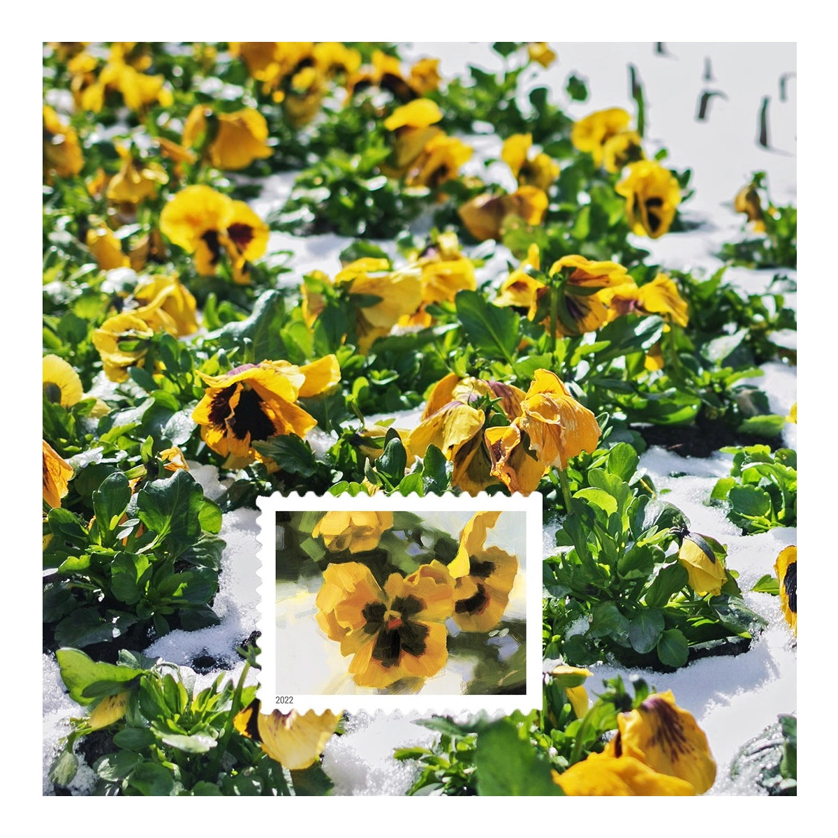 2022 USPS Snowy Garden Beauty Forever Postage Stamps