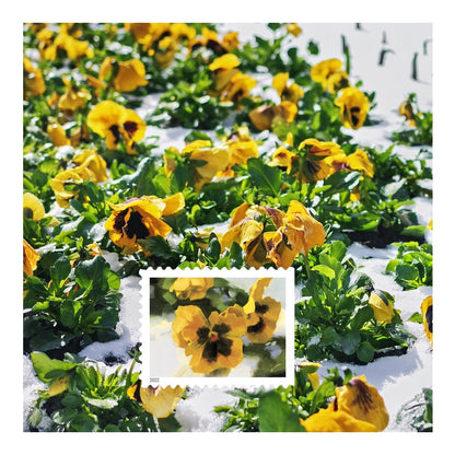 2022 USPS Snowy Garden Beauty Forever Postage Stamps