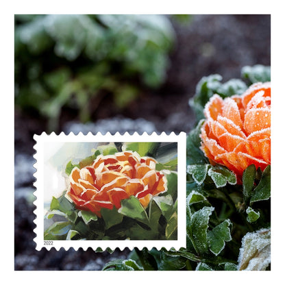 2022 USPS Snowy Garden Beauty Forever Postage Stamps